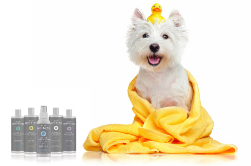 Gallipots Dog Grooming with For All Dogkind