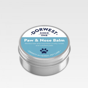 Pawfect Treatment For Dogs Sore Paws