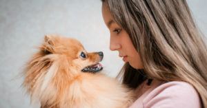why is dog grooming good for my dog