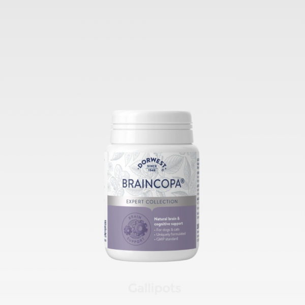 BrainCopa by Dorwest Product Image